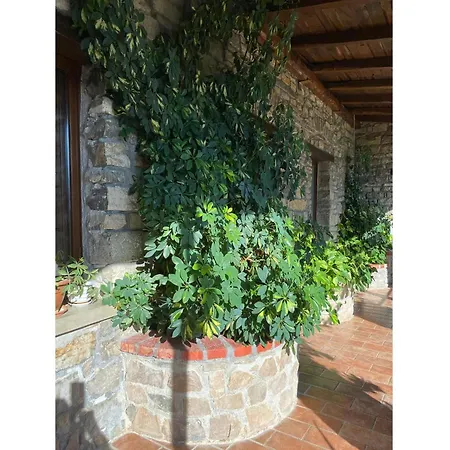 Foresteria San Leo Country house Trivigno