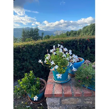 Foresteria San Leo Country house *