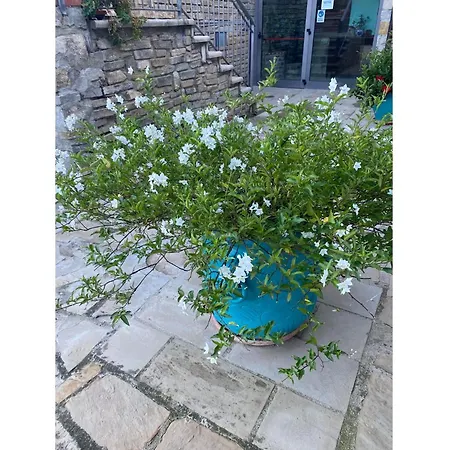 Country house Foresteria San Leo