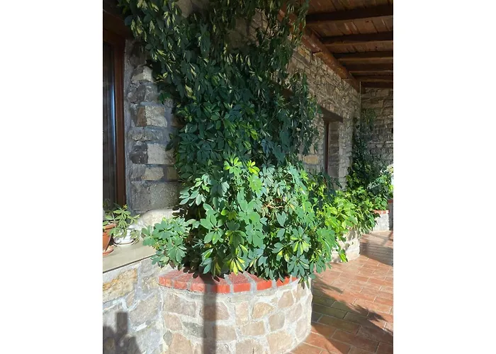 Foresteria San Leo Casa di campagna Trivigno