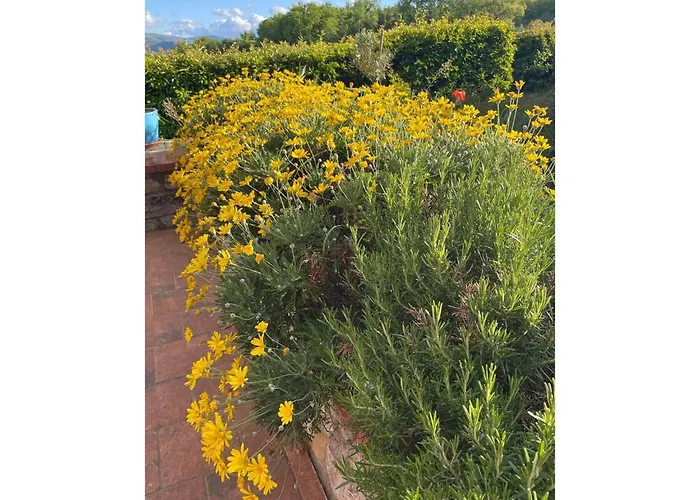 Casa di campagna Foresteria San Leo